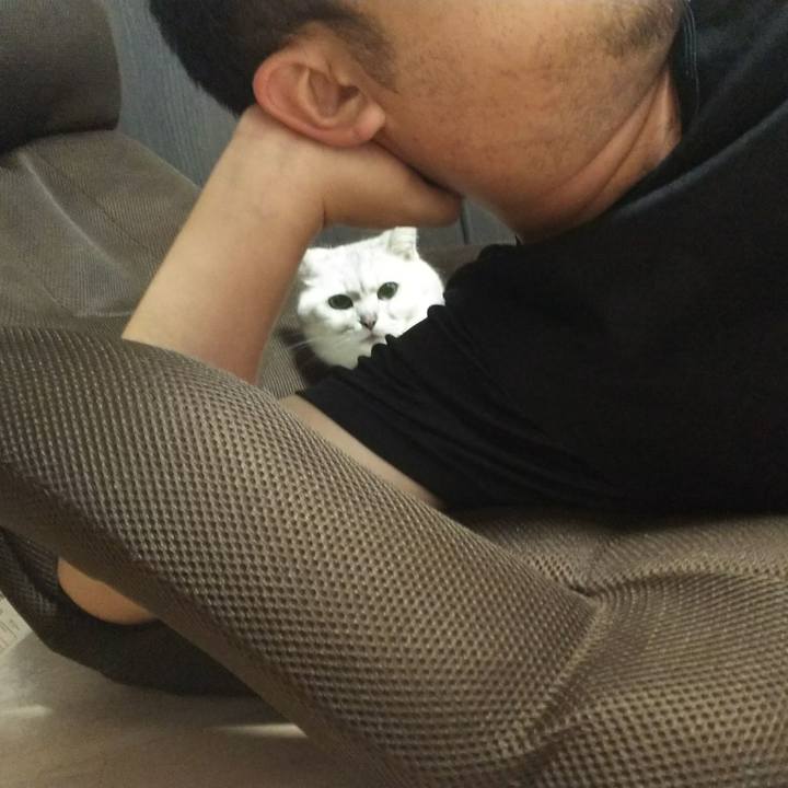 A0b1e4ad 3eae 410f 98af 55fbc9e0e07f 1524333868710