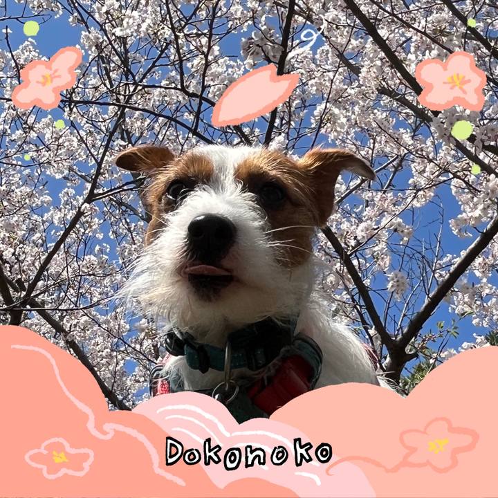 A0b1e53e c6cd 4686 9f11 a7f25c519e81 1775192284072