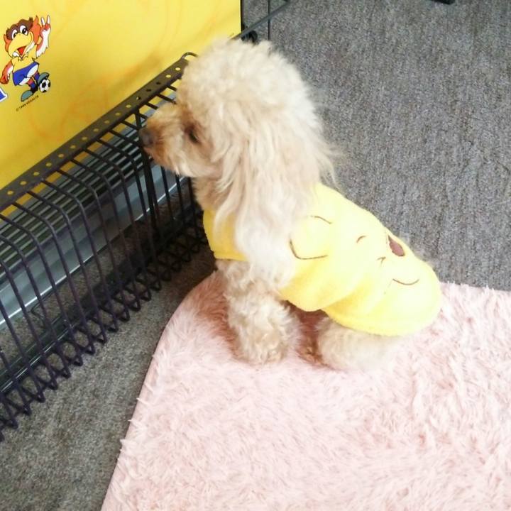 A0b1e989 c884 440c 9f74 b951bef75626 1542287148399