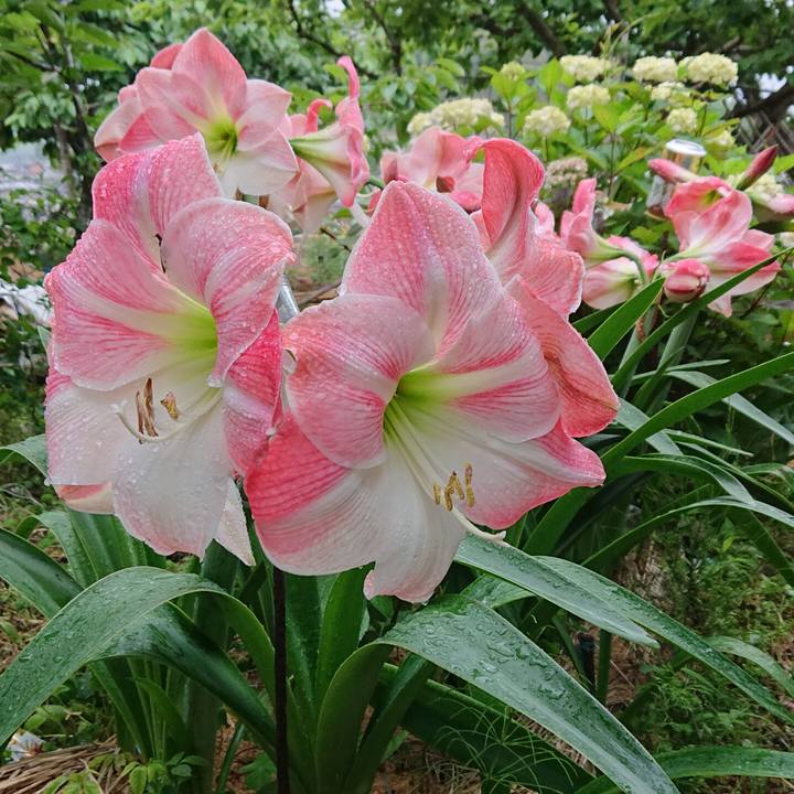 A0b1eb9c 7fd7 4cb4 a188 71078e1d893d 1621069253900