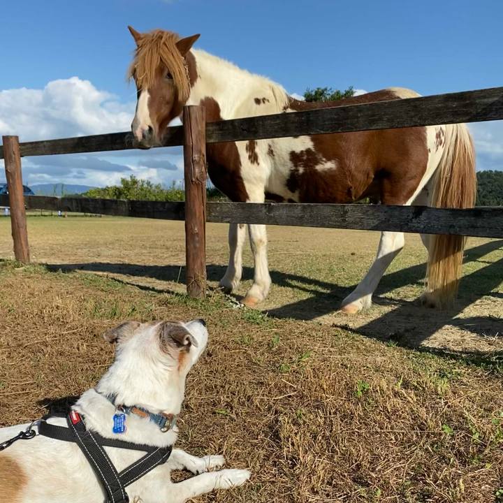 A0b1fa97 e7f3 49f4 a722 d1f0a7c6094c 1633866865157