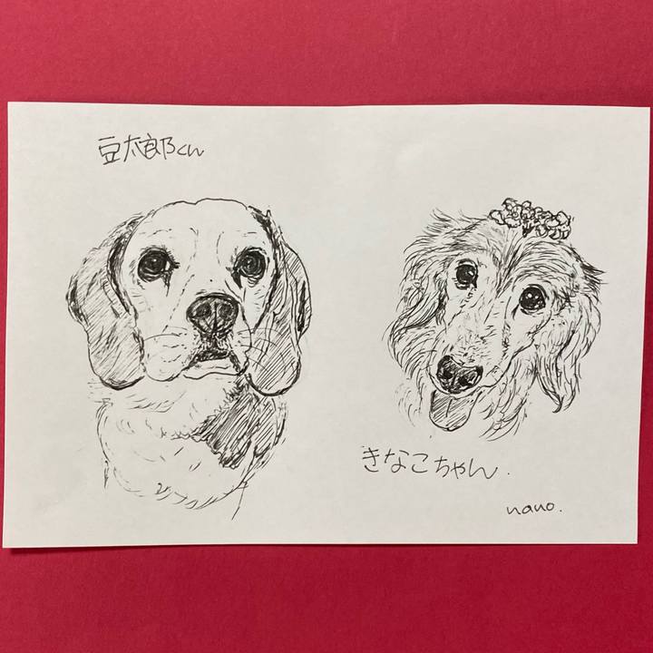 A0b20791 479a 4183 a625 6077a3fdd2a5 1634091500271