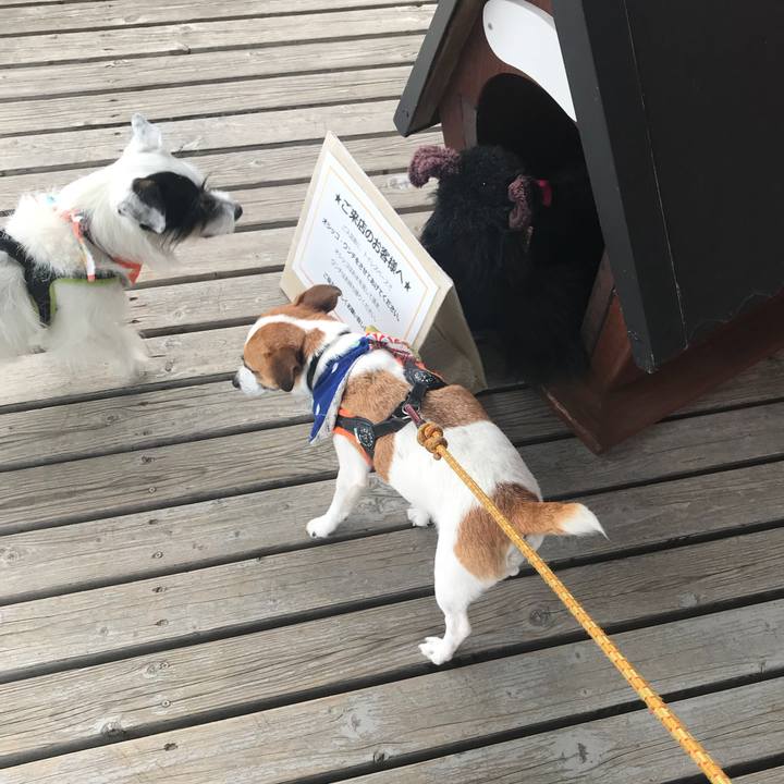 A0b21678 3bb3 482f ab86 69d22d81afc6 1532235047088