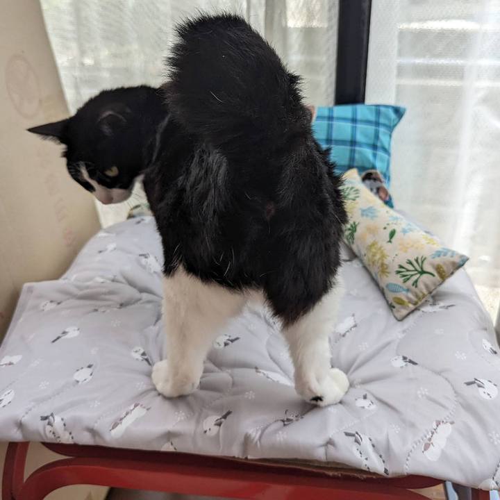 A0b21b15 2203 4908 9dd1 b7b452572e7c 1717926254959