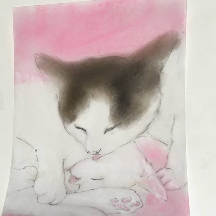 A0b2254f cd79 4eb1 a16c e4ab71ed1ddf 1579534401949