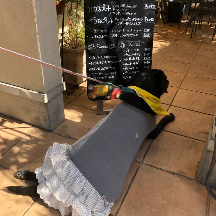 A0b2577c e57f 4eec 97e1 371c78cb80ab 1540088710208