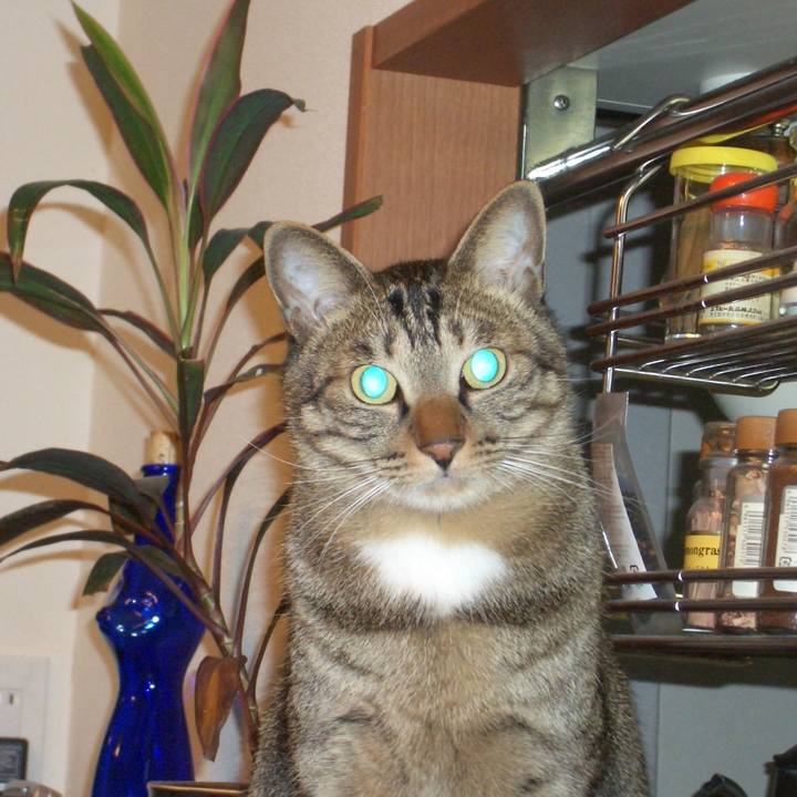 A0b2d79c beb1 446b 8387 f39c0375cdba 1544531657942