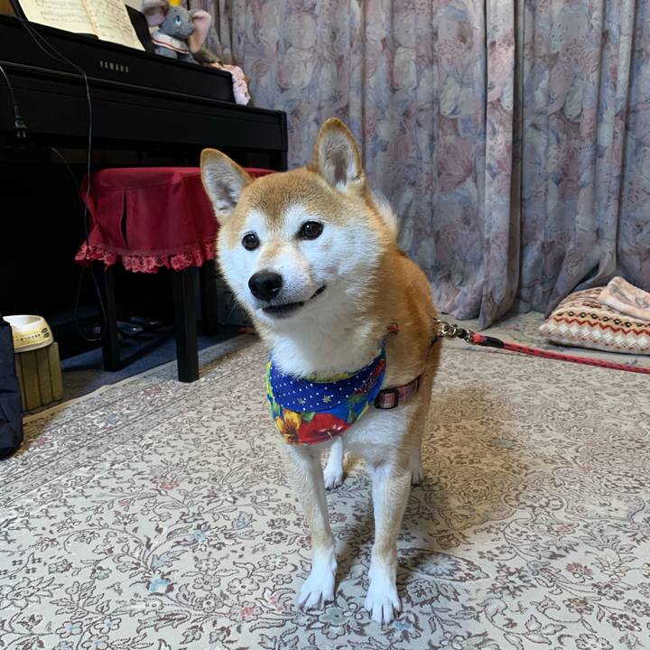 A0b2f026 9be0 4167 8ec1 910e4ec59216 1571571028309