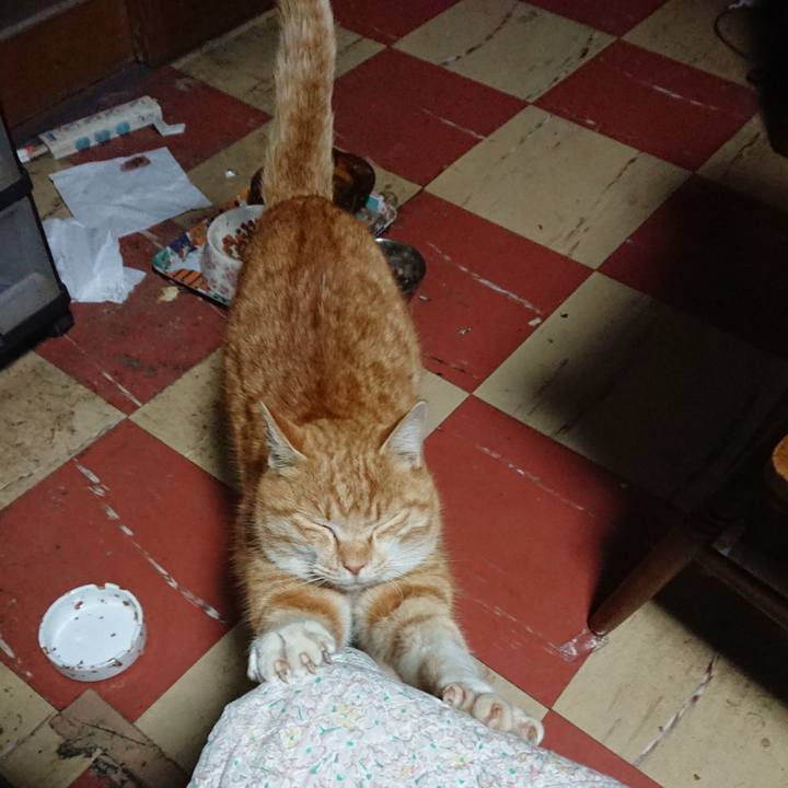 A0b30831 1991 4d9f 93c2 ed4d62ae338f 1582404086258