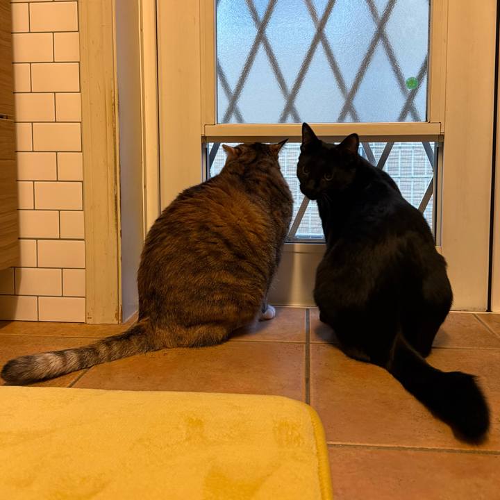 A0b30a5d 9557 4562 a226 f2c04f989698 1769382056176