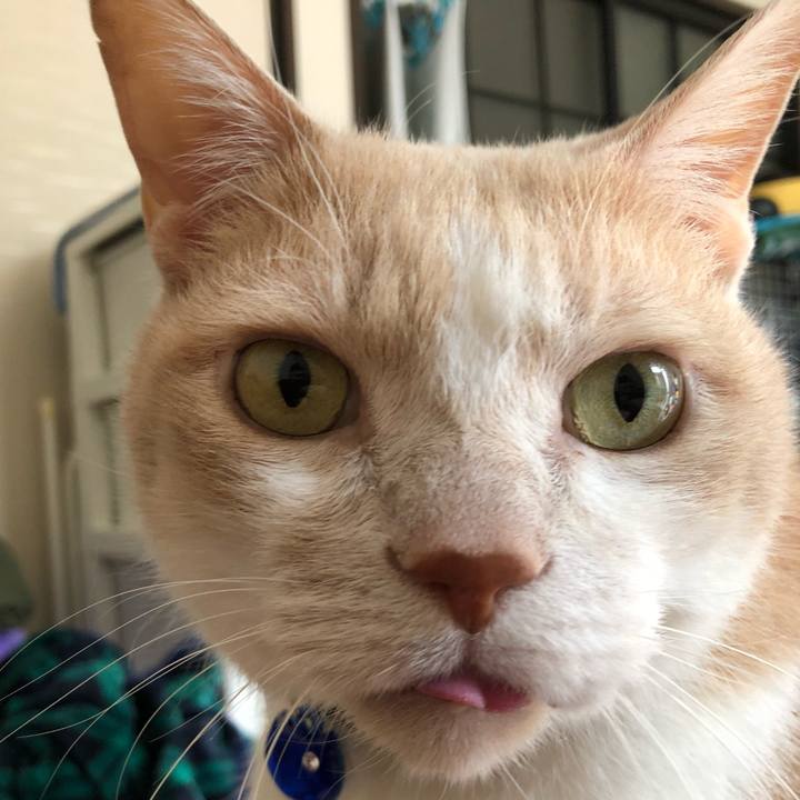 A0b32190 06ef 419a b9be 7fe1742946e3 1517181633831