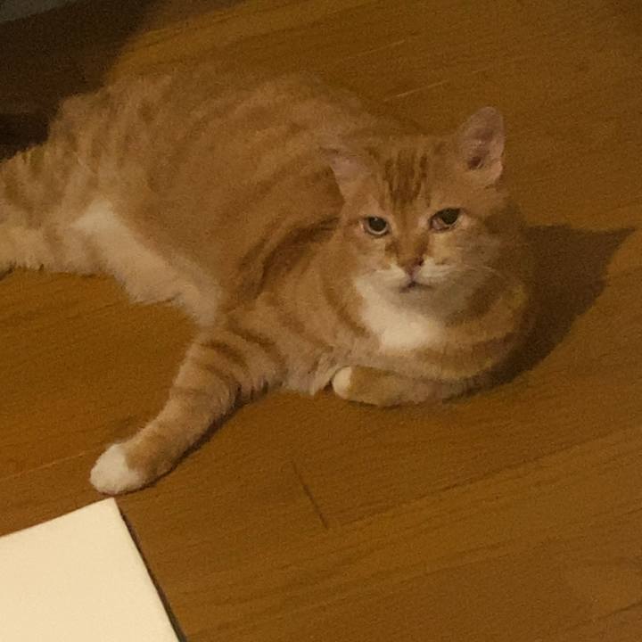 A0b324de bf01 4ef7 9aad 37b94159b90f 1752576550032