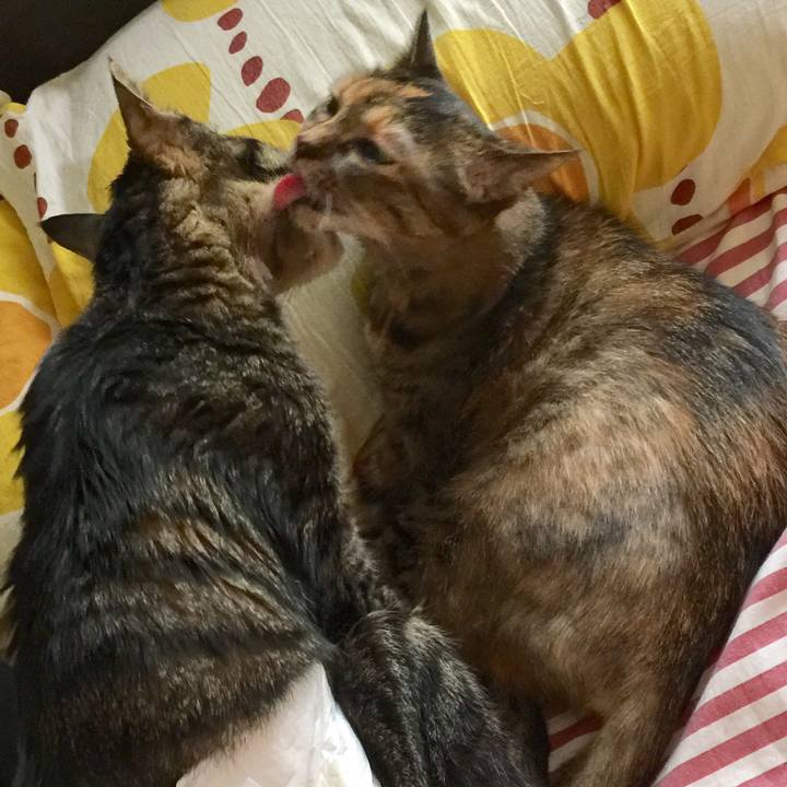 A0b334b1 513b 4c4b 9154 b24b978c4949 1534632762563