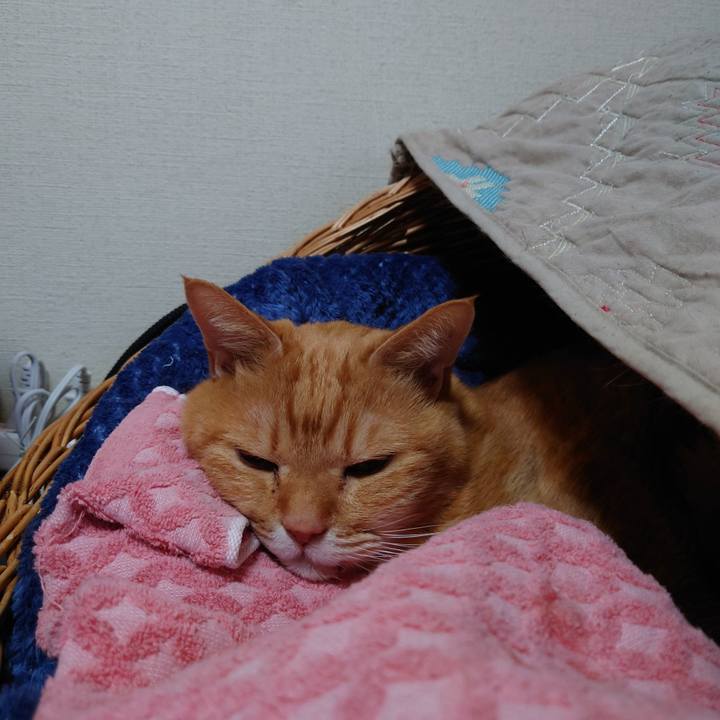 A0b3a1d2 142d 4bd0 8a57 325a3cdec42d 1737854333884