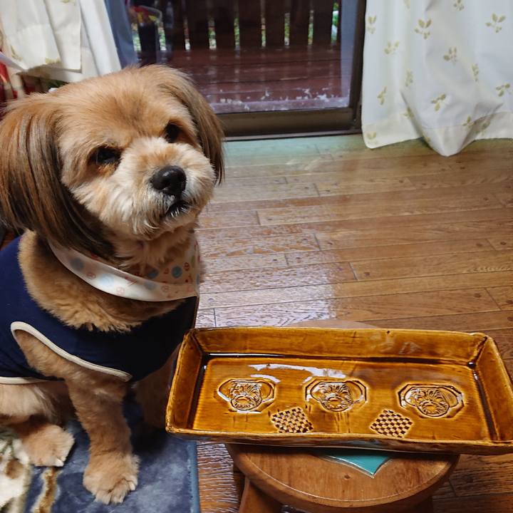 A0b3caf4 adce 4736 86c4 97c48d5478d4 1582877672265