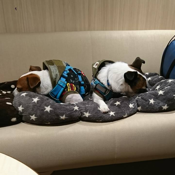 A0b3d7c6 c88d 4909 a1af 9283bb497561 1606295368458