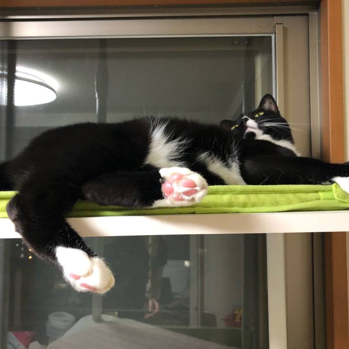 A0b3eb38 7021 4c7b 9ddf 9757b4555aac 1564629596384