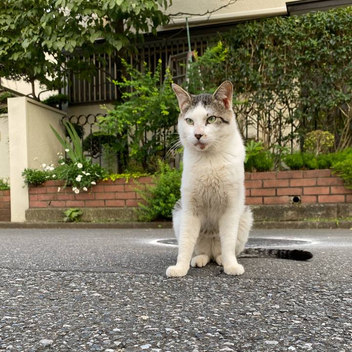 A0b40474 cf03 4bcc 89f5 f1ce795d2366 1593431234513