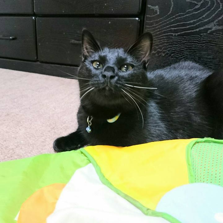 A0b4157e 6898 41f1 af99 2cfa7a1afedd 1510975550602