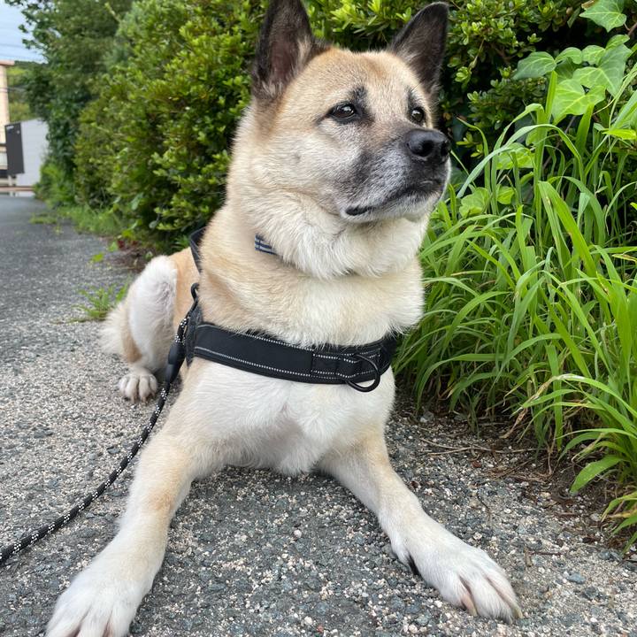 A0b43dbb e6fd 40b1 936e da70f08c50b6 1720527558345