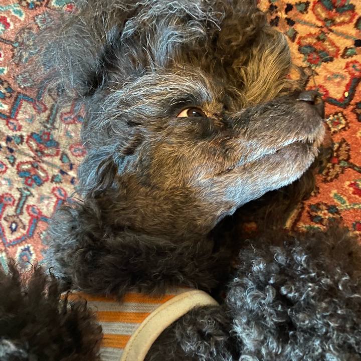 A0b45547 bf88 4516 940d c1966865a46f 1689995787451