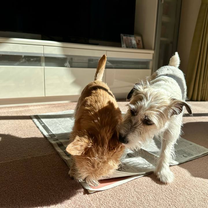 A0b45729 bc5a 4a31 b966 8567249c53ad 1706969884561