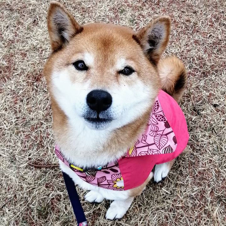 A0b46ded ee2c 44a0 822f 19063fe9263f 1615162645626