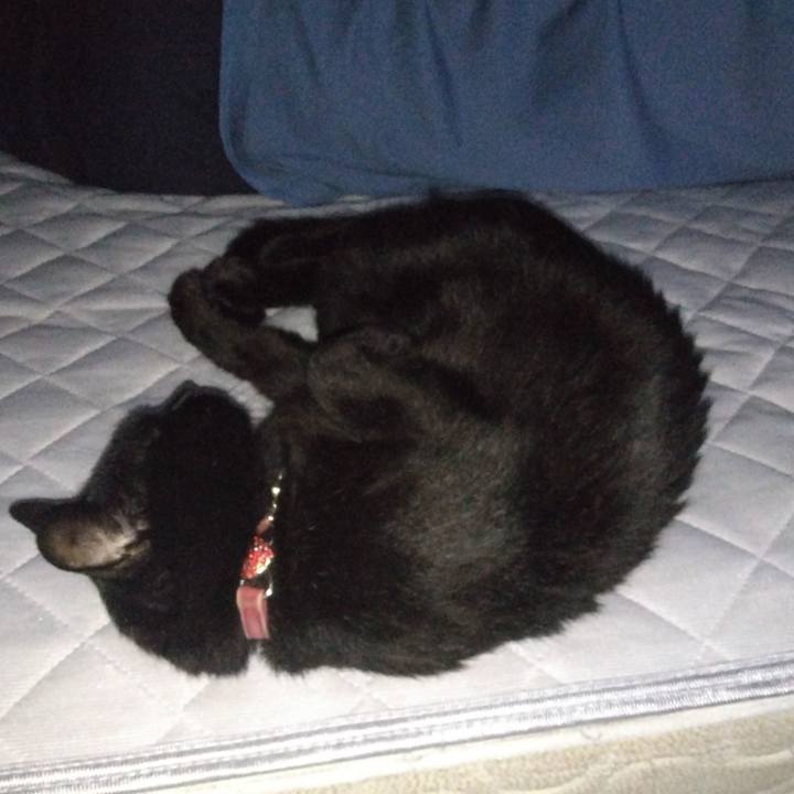 A0b470bd 8afd 490f 993c edf873cb5c02 1755728763668