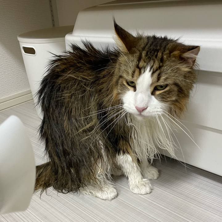 A0b47425 d3ce 4030 a3c6 3743aecec980 1684317723910