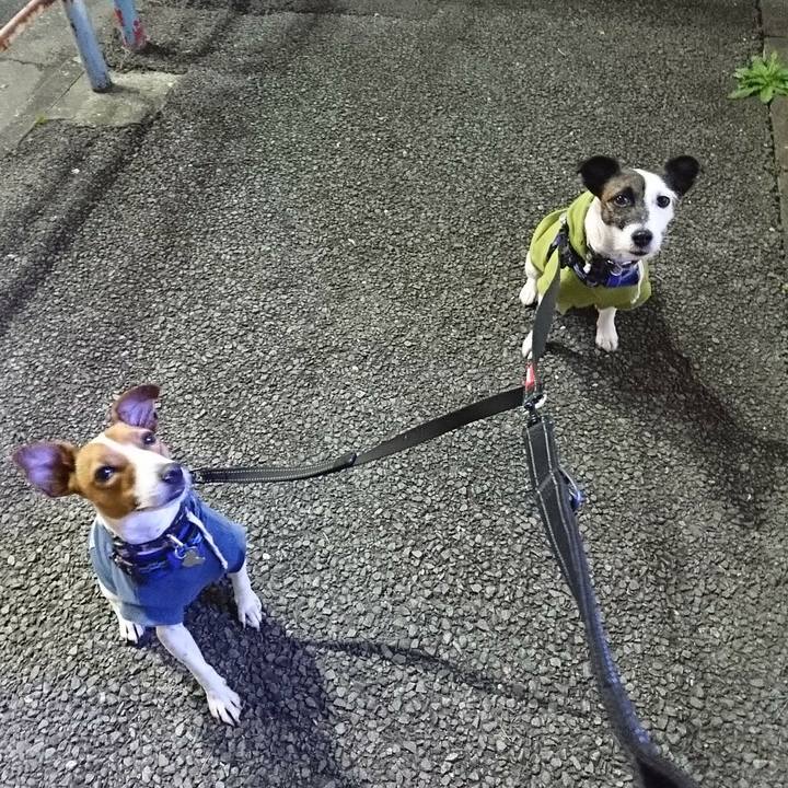 A0b4aeed 9edd 49ec b837 6fbe72199012 1539773885534