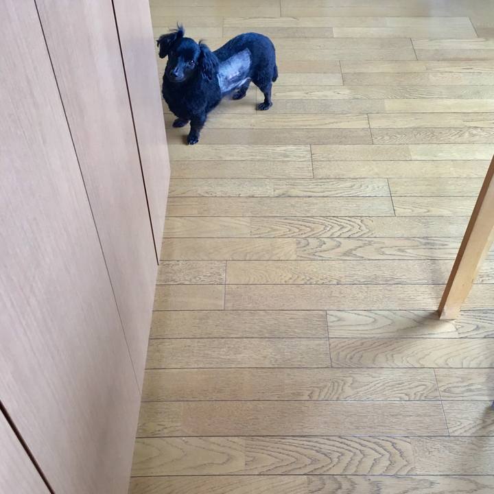 A0b4be6a 49a8 488f 89e7 bdfc8103ac31 1519944262500