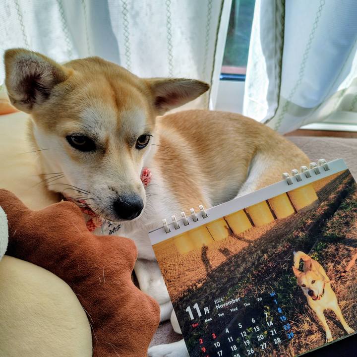 A0b4caad 7d69 4df4 9d97 aa2b149d491a 1761953306947