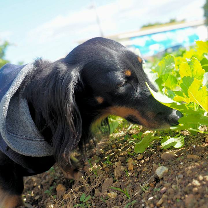 A0b500c7 b9d3 4a0e 9b56 fa14a07cf90a 1574230728457