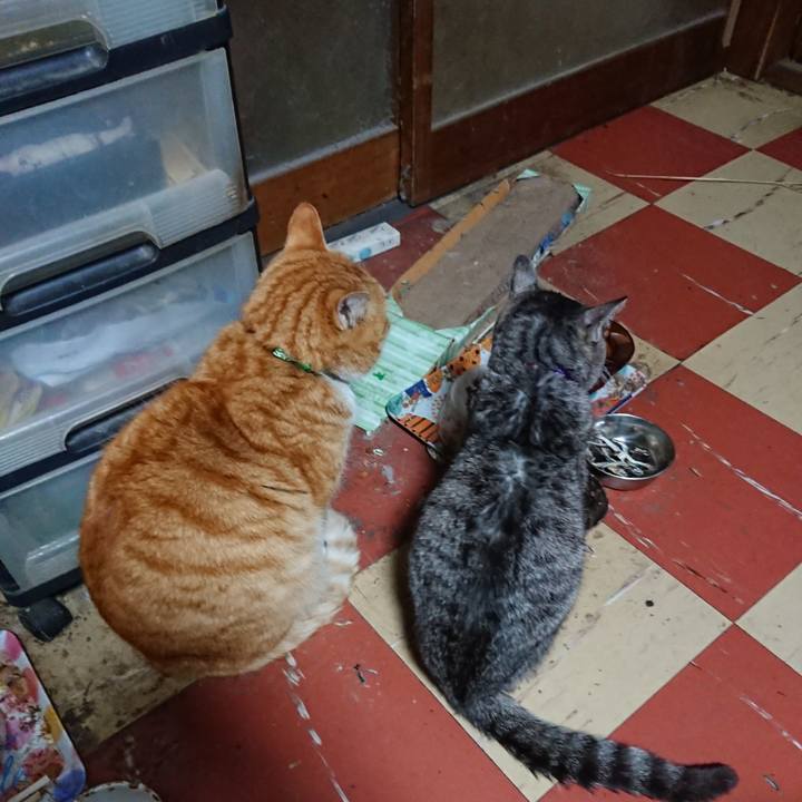 A0b51dbb 7c59 41a0 a481 2ba752ce46f8 1580896962317