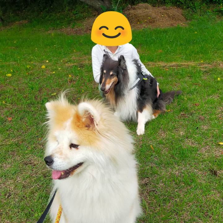 A0b53c3c e198 49f8 a2de b225c494d291 1623941091378