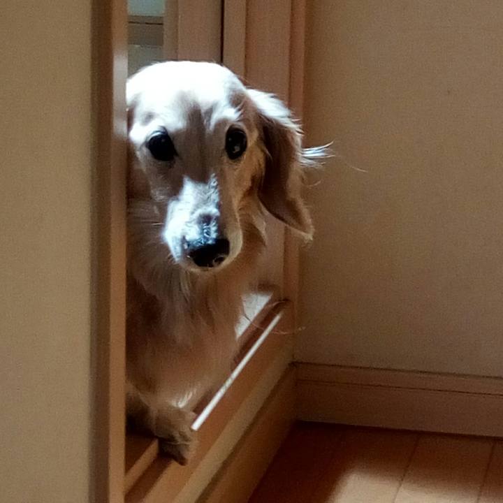 A0b554d6 0d77 4cb3 98be 9a6e2b82a9a4 1552951321581