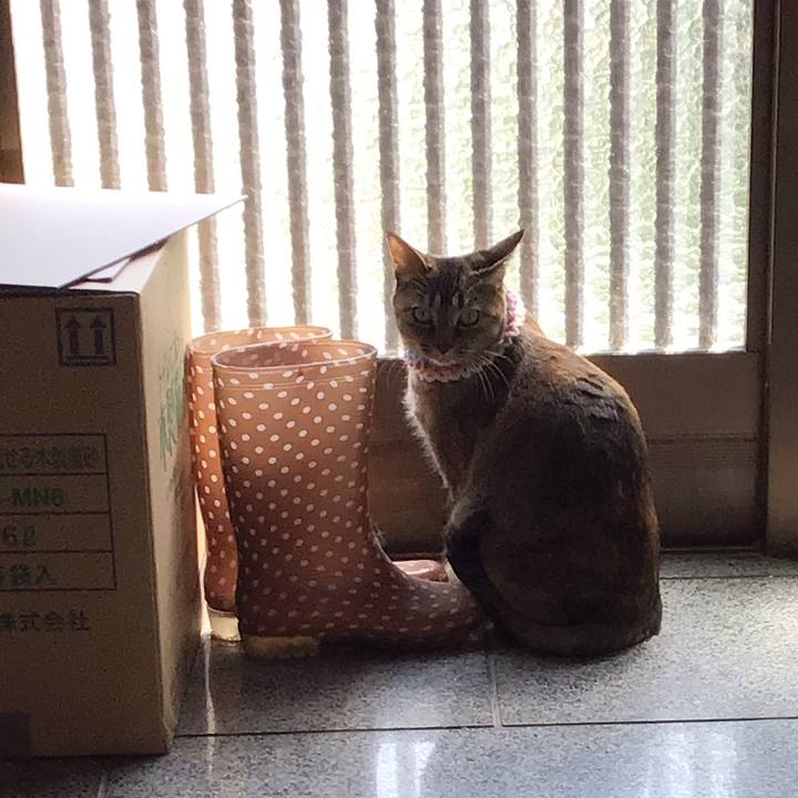 A0b56494 7b2a 49cd a629 aec4011f1ace 1617856633513