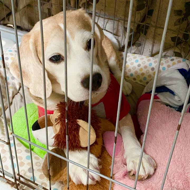 A0b59a47 12bc 4d6e 8dc4 0c08d1c2bb9f 1602654516413