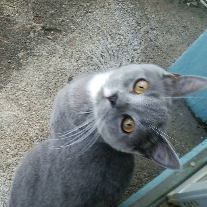 A0b5e8e1 9e34 4dd8 a710 b12c2319c9d4 1537686190027