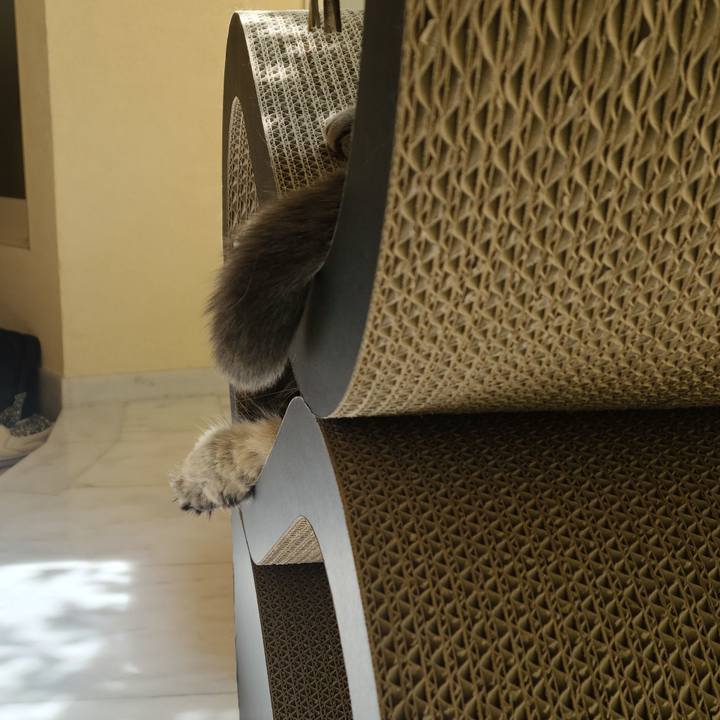 A0b5e8ff 02ce 4dd2 b9b1 ef0053162b05 1619062602157