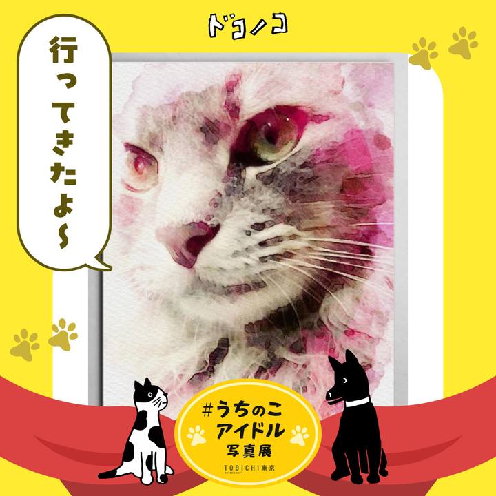 A0b613f8 bbd9 47a0 973e 76ee3a68d1fd 1761158147658