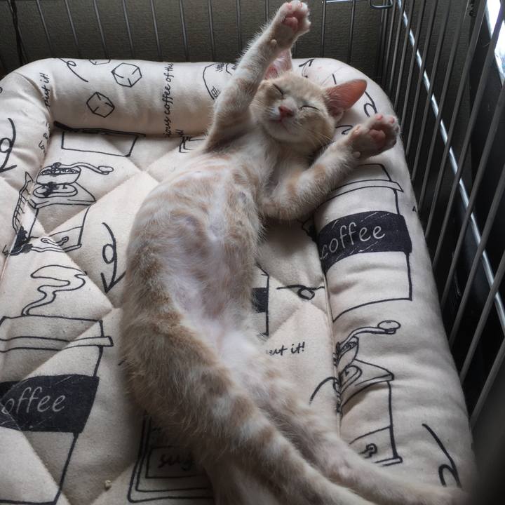 A0b61a1a 351e 48bb a1e6 0486269830d6 1533377707549