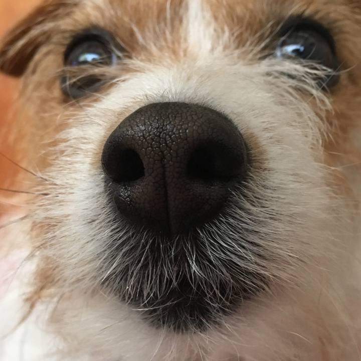 A0b61fe0 e006 4e43 bd75 73f107d5dd07 1523490680825