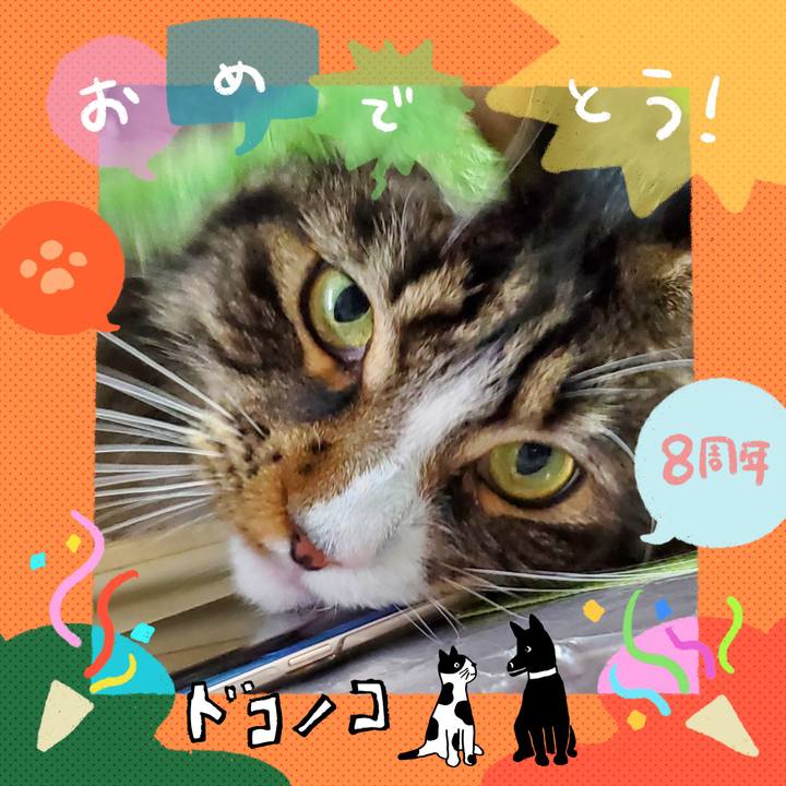 A0b624bc 3b58 49e4 b305 09d1d788cc2b 1718504466073