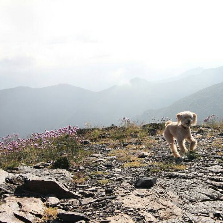 A0b63844 4dca 470b b79c b99d9601c7a7 1591887002974