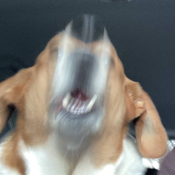 A0b63ff6 a71b 4855 8ba0 2ac22bf152e5 1765274913748