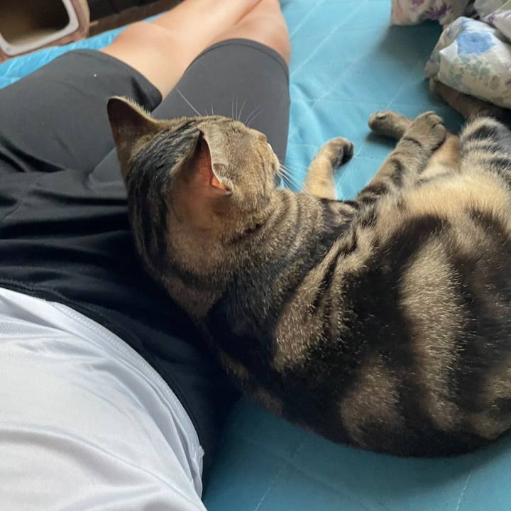 A0b65953 239b 4be0 b4a9 d4ff011a906e 1695971208270