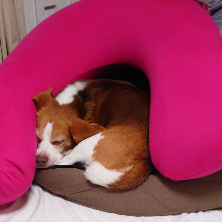 A0b669cf b315 4b05 b762 815f4de7ae1e 1661080528601