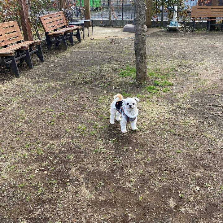 A0b696f9 d814 4566 a40c 6d729a9f82b9 1580531471873