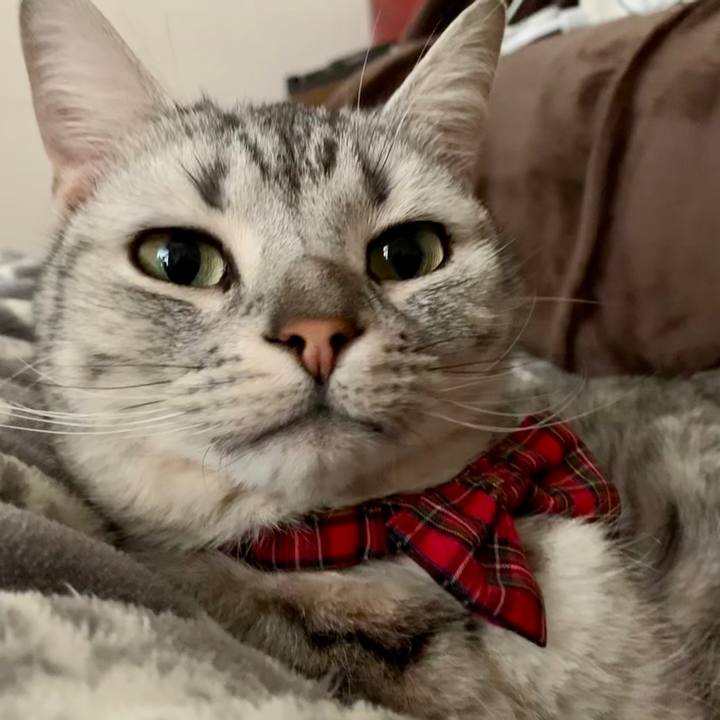 A0b69de5 8e0a 4c20 88e4 5467d445bea7 1582514084103